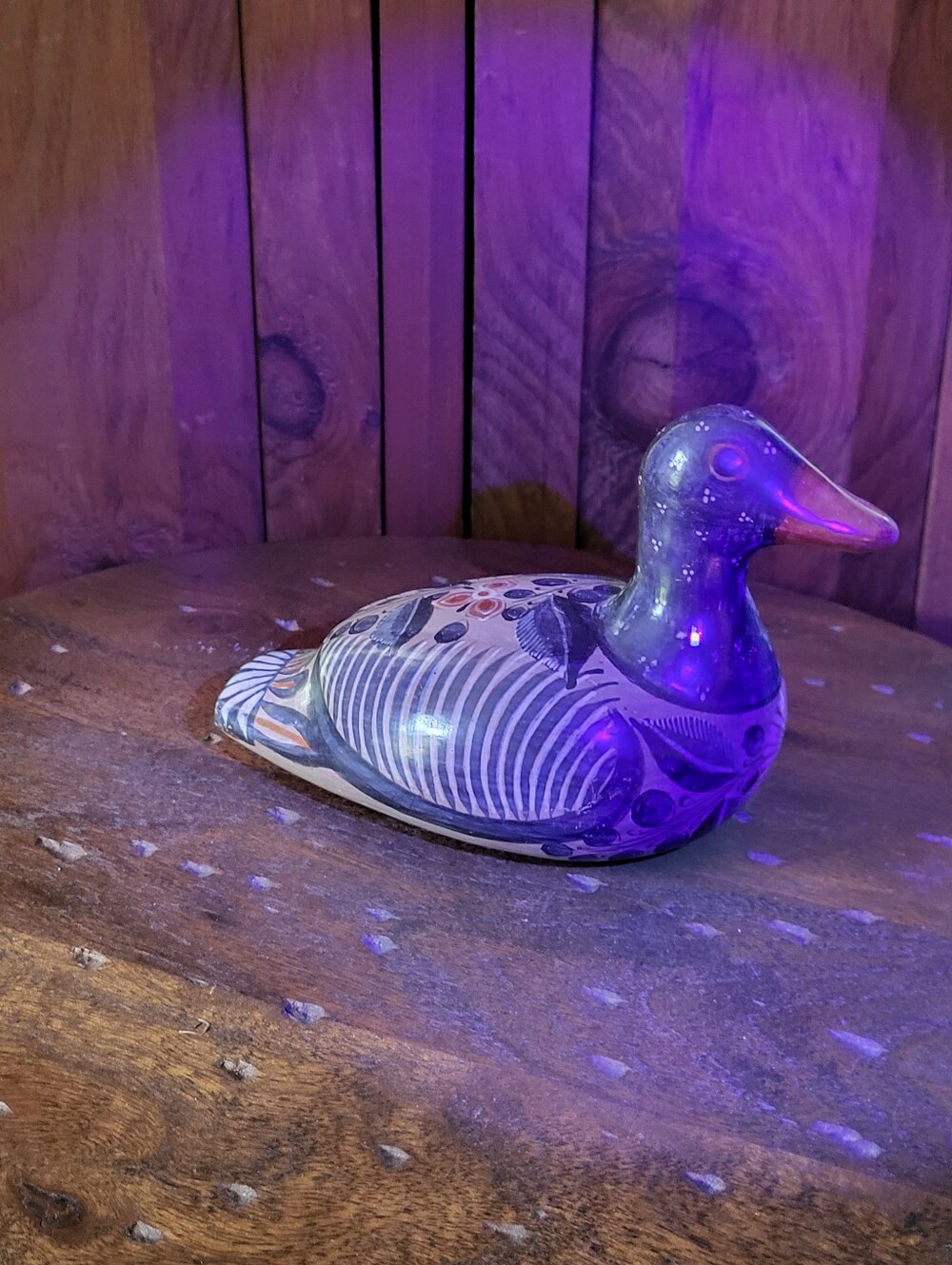 Tonala Duck - Picture 14 of 15
